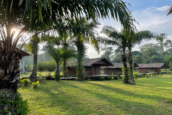 Congo_Forest_Safaris_Camp_1