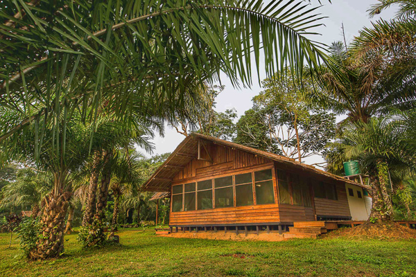 Congo_Forest_Safaris_Camp_10