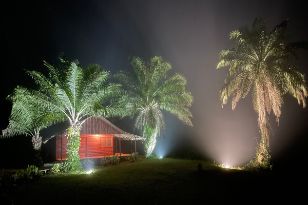 Congo_Forest_Safaris_Camp_34