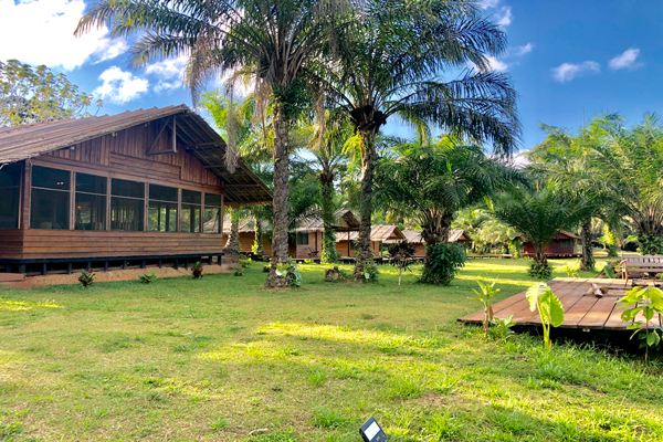 Congo_Forest_Safaris_Camp_40